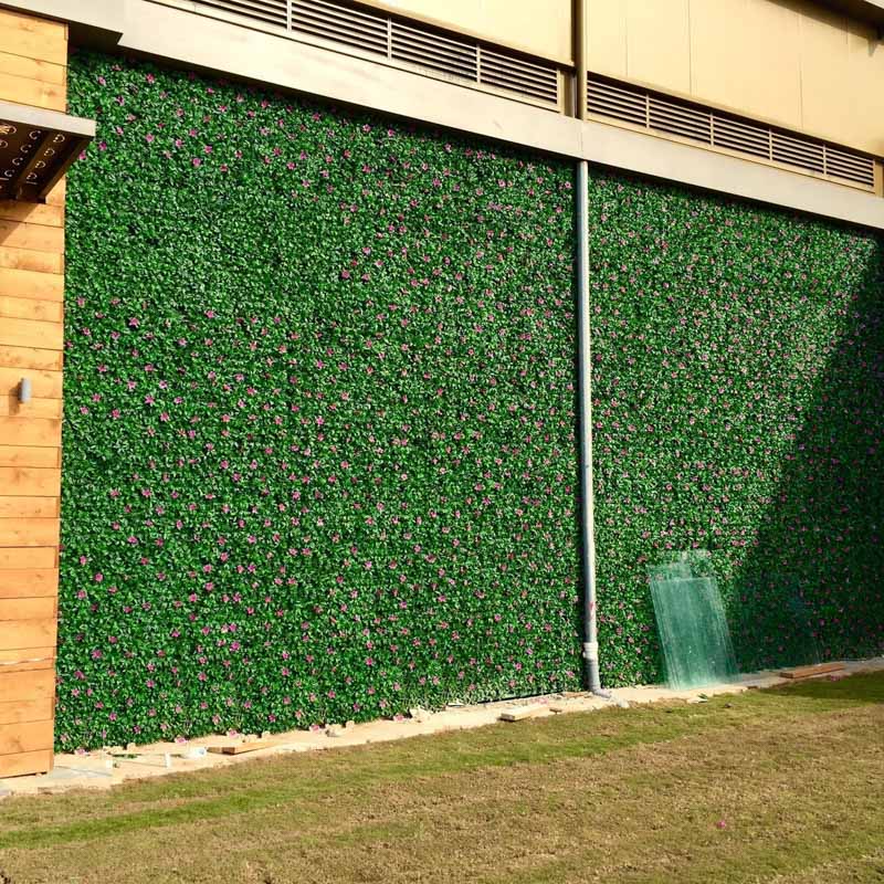 קירות ירוקים